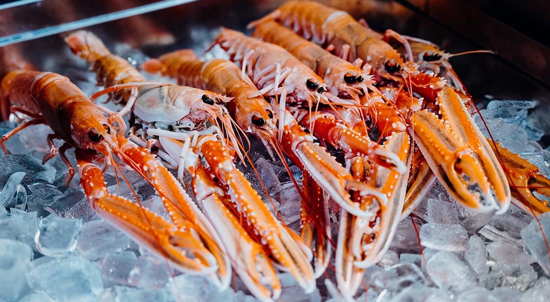 挪威龍蝦